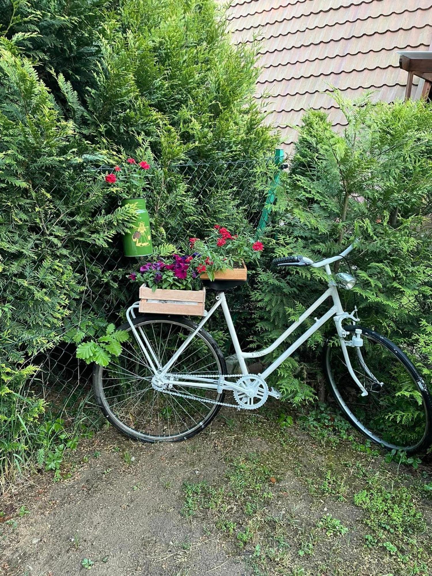Wilkaski Zakatek Lötzen Exterior foto